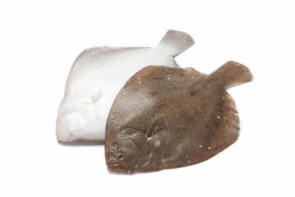 Comment intégrer l'huile d'argan dans votre routine capillaire pour des cheveux brillants?